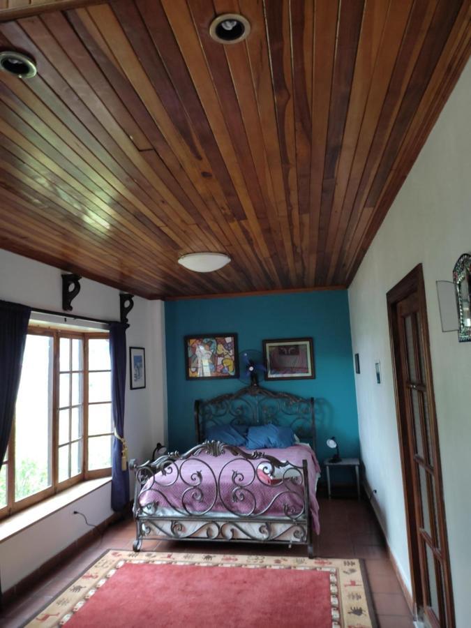 La Jungla Experience Lodgings - Vacation Home And Apartment Boquete Kültér fotó