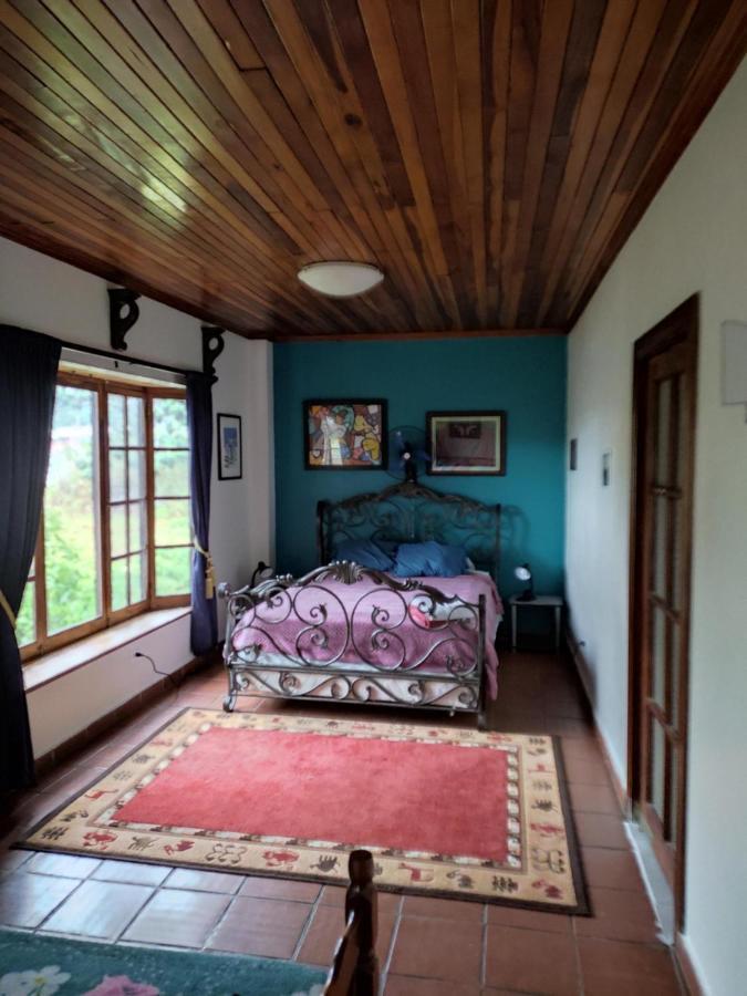 La Jungla Experience Lodgings - Vacation Home And Apartment Boquete Kültér fotó
