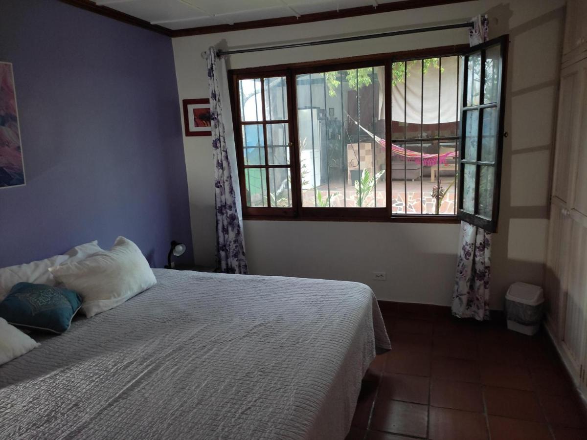 La Jungla Experience Lodgings - Vacation Home And Apartment Boquete Kültér fotó