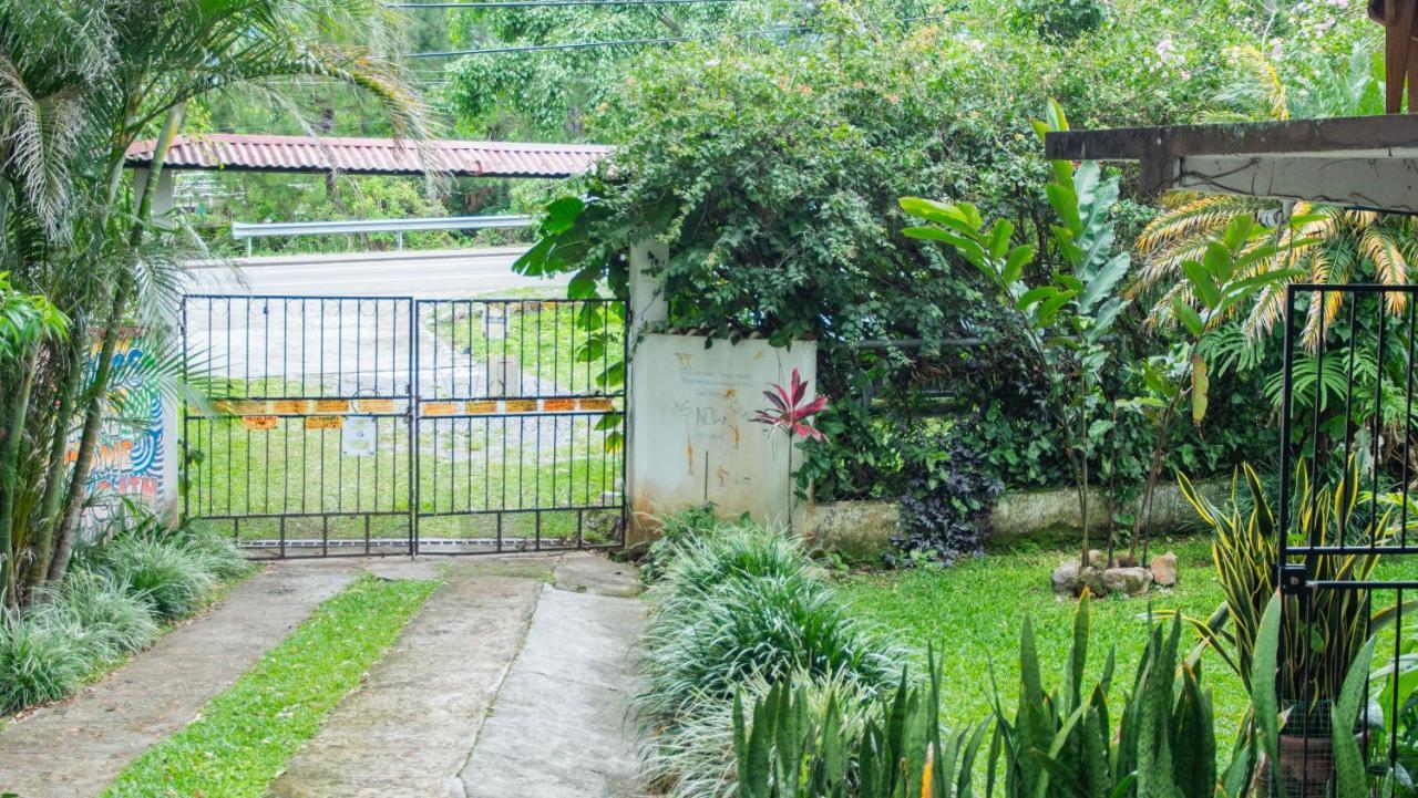 La Jungla Experience Lodgings - Vacation Home And Apartment Boquete Kültér fotó