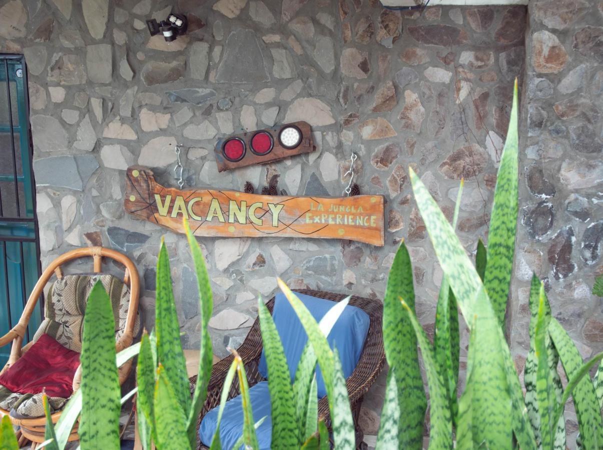 La Jungla Experience Lodgings - Vacation Home And Apartment Boquete Kültér fotó